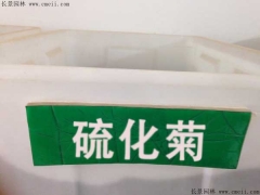 「硫化菊種子」最新硫化菊種子_價格_圖片_種植